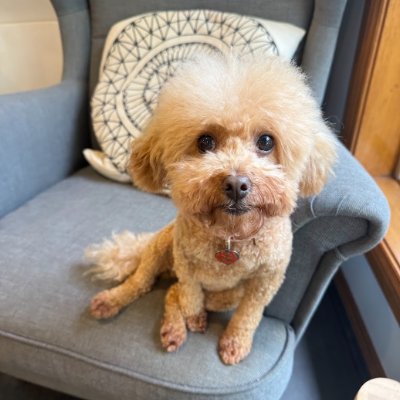 Winnie Ho profile photo