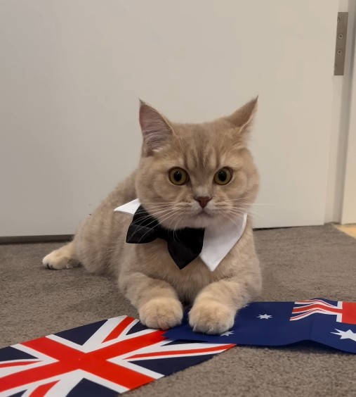 Miso Explores profile photo