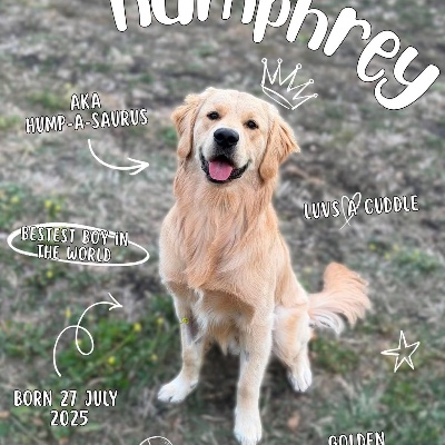 HUMPHREY profile photo