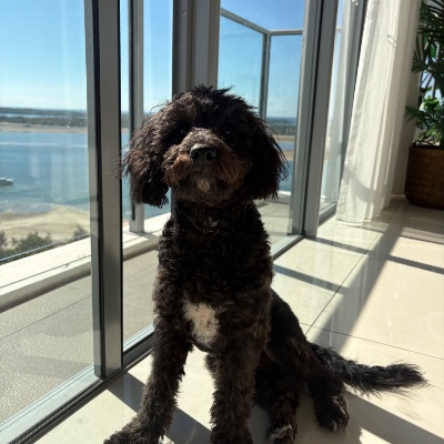 Little Miss Nyx profile photo