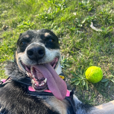 Elsa Jack profile photo