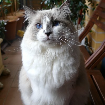 Katie Stanton profile photo