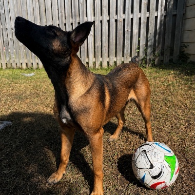 Karma belgian profile photo