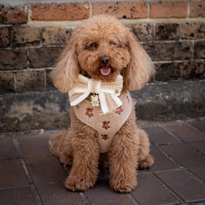 Little Red Ted profile photo