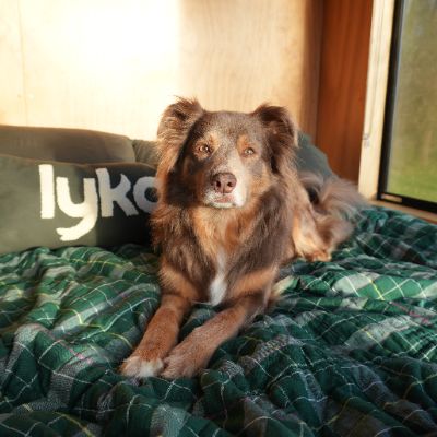Oakley profile photo