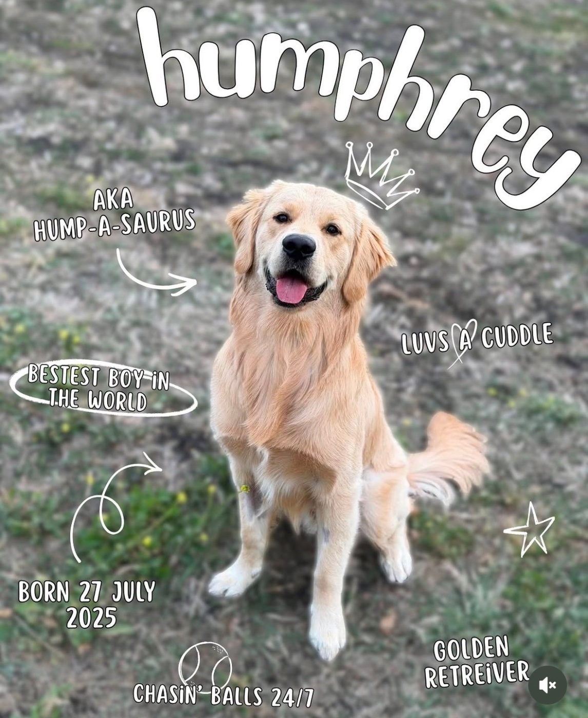 Work by HUMPHREY