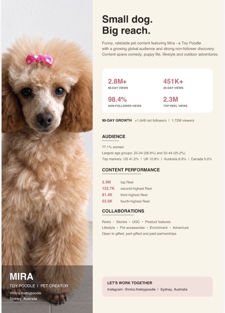 Work by Mira the Toy Poodle