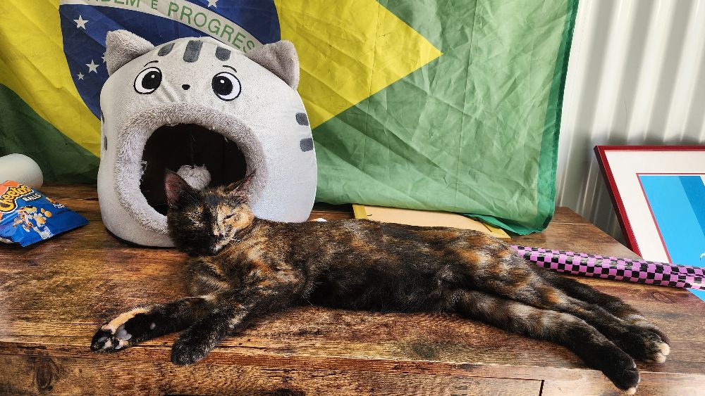 Work by Iuliana Oliveira Costa