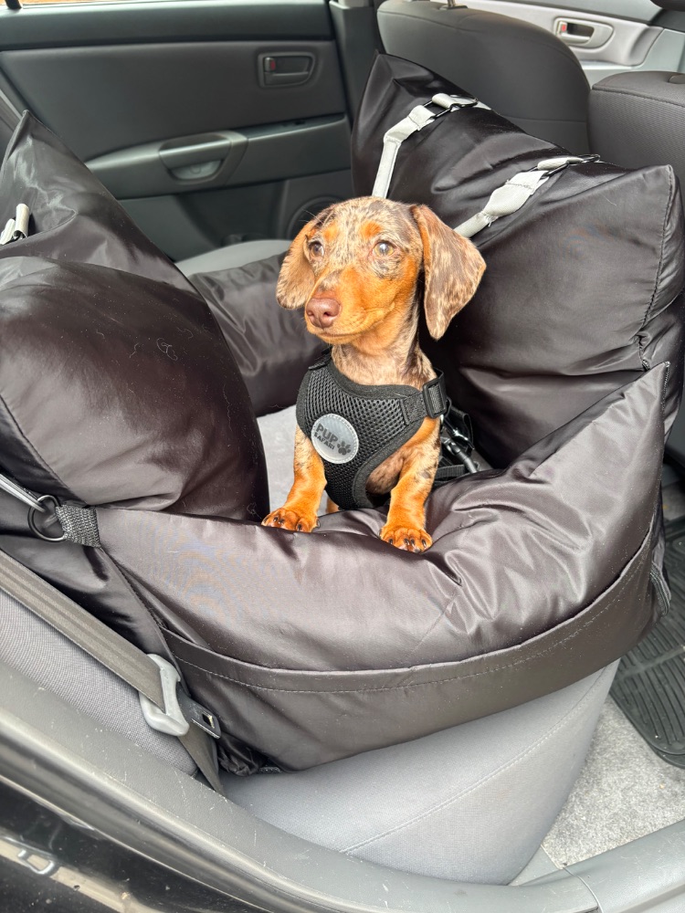 Work by Stephanie Power