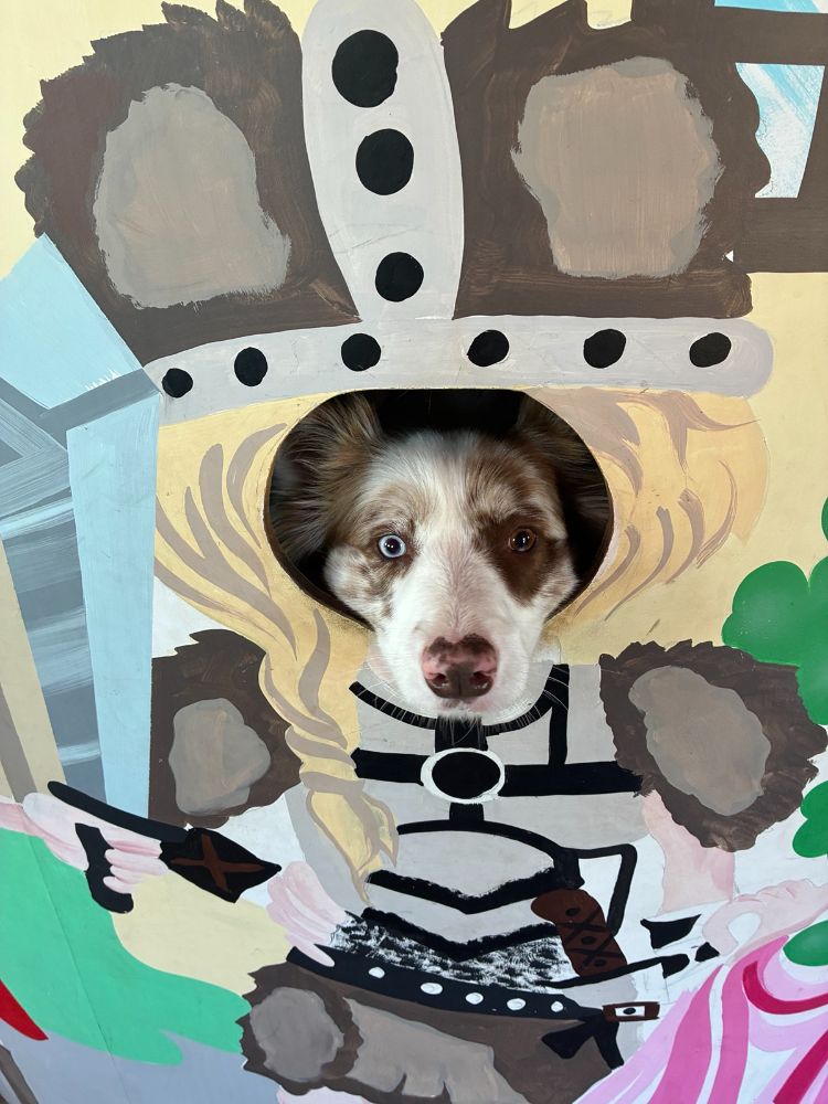 Work by Daphne.dog.bc